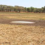 Dried-out lake bed of Lake Kamnarok, Baringo, Kenya with small pool of water.