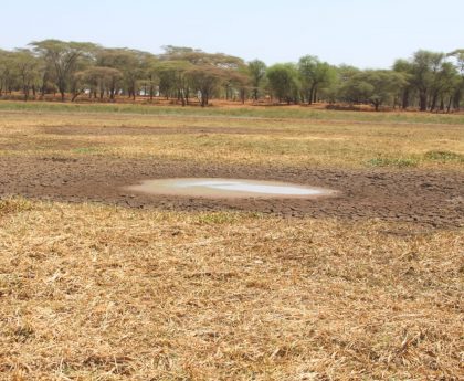 Dried-out lake bed of Lake Kamnarok, Baringo, Kenya with small pool of water.