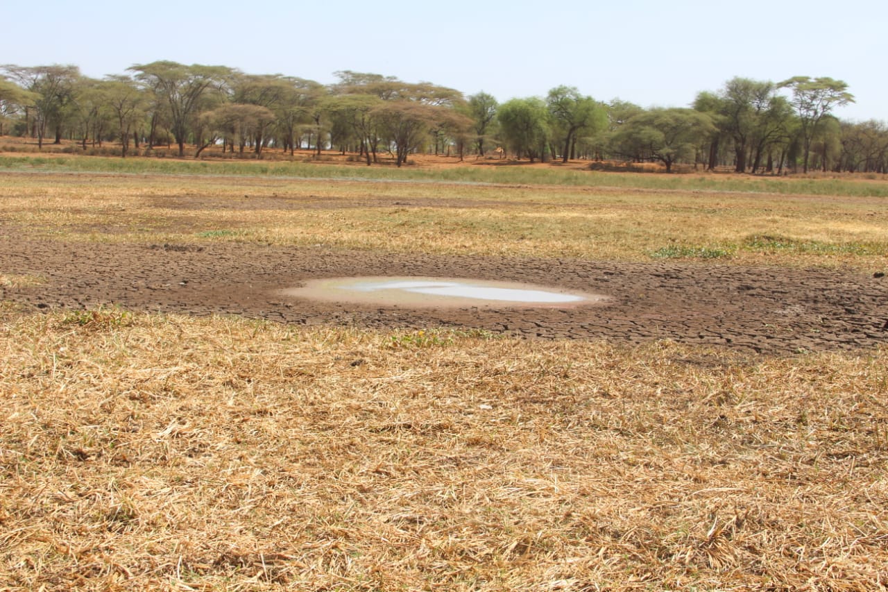 Dried-out lake bed of Lake Kamnarok, Baringo, Kenya with small pool of water.